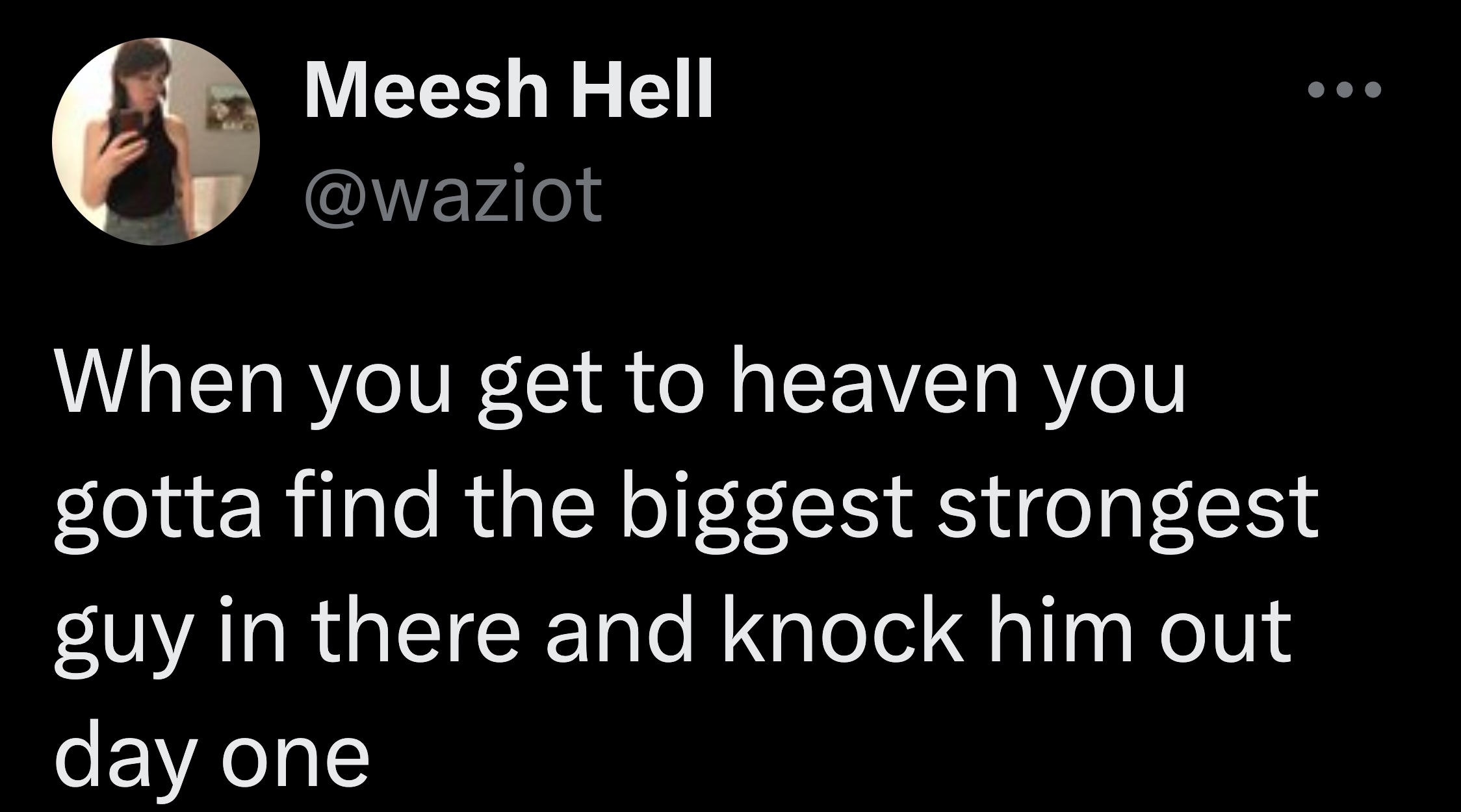 screenshot - Meesh Hell When you get to heaven you gotta find the biggest strongest guy in there and knock him out day one